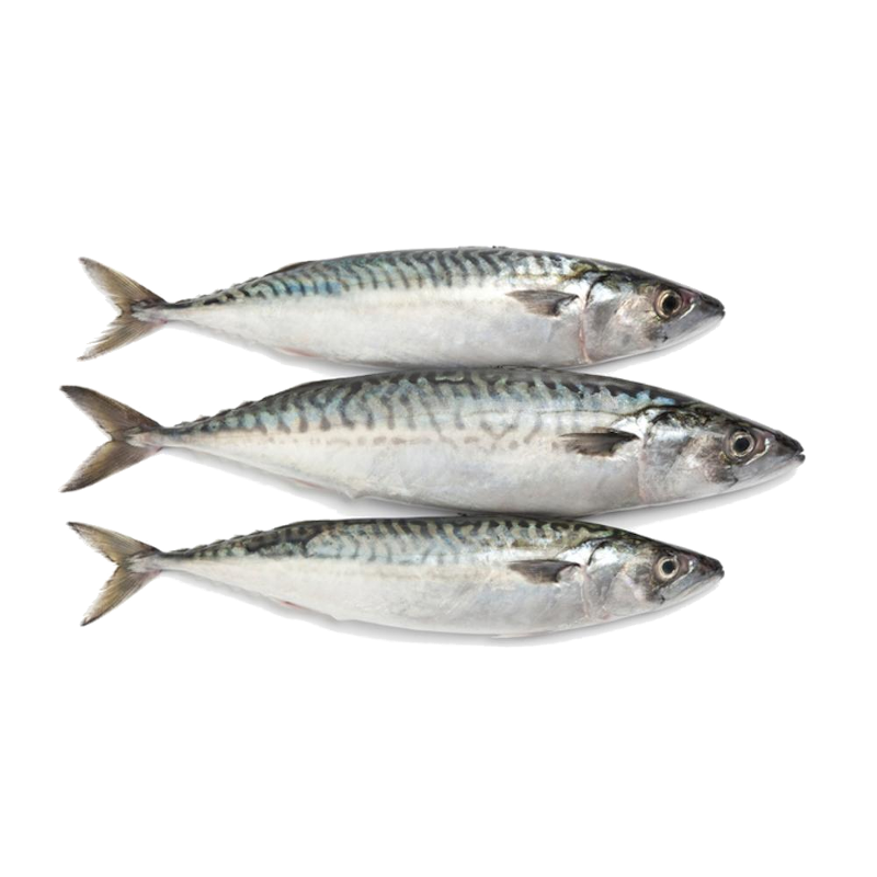 Риба заморожена морська